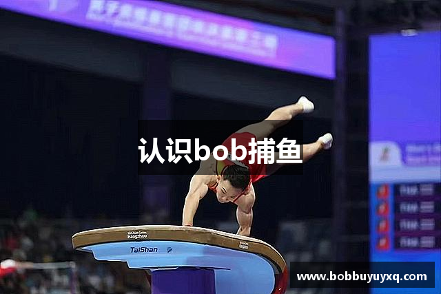 认识bob捕鱼